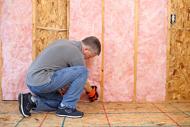 Types of Insulation We Offer in LA