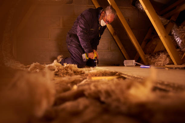 Best Residential Insulation in Rose, LA